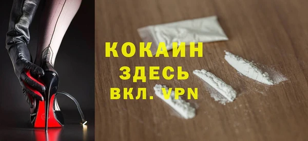 прущие грибы Сосновоборск