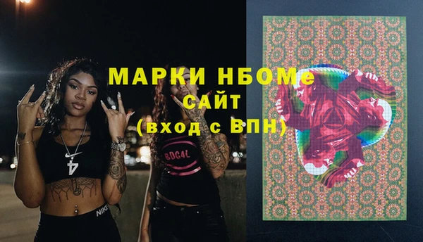 крисы Инта