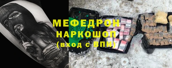 крисы Инта