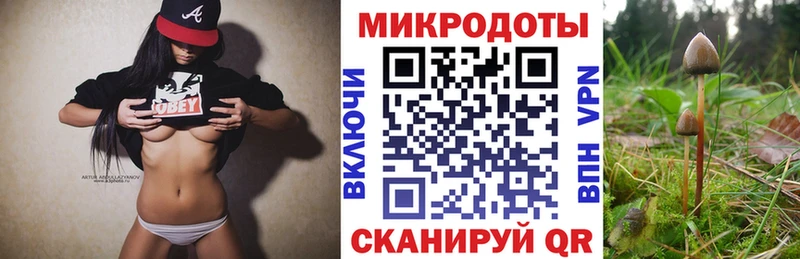 Купить закладки  Заозёрный  Псилоцибиновые грибы ЛСД 