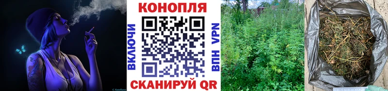Каннабис Amnesia  Купить закладки  Заозёрный 